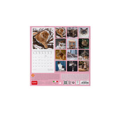 Calendario Legami 18x18 Pared Cats Multiling&uuml;e 2027