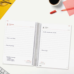 Agenda Finocam Year D&iacute;a P&aacute;gina 2027 Catal&aacute;n Rojo