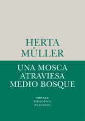 Una mosca atraviesa medio bosque Una mosca atraviesa medio bosque