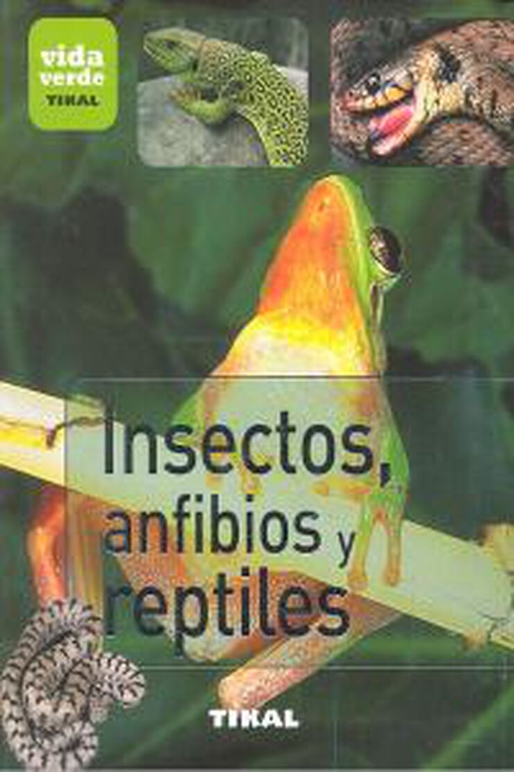 Insectos, anfibios y reptiles