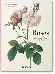 Redouté. Roses Redouté. Roses