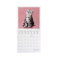 Calendario Legami 18x18 Pared Kittens Multiling&uuml;e 2027