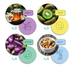 El sentido del gusto y los sabores