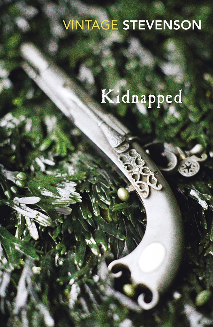 Kidnapped (Vintage Classics)