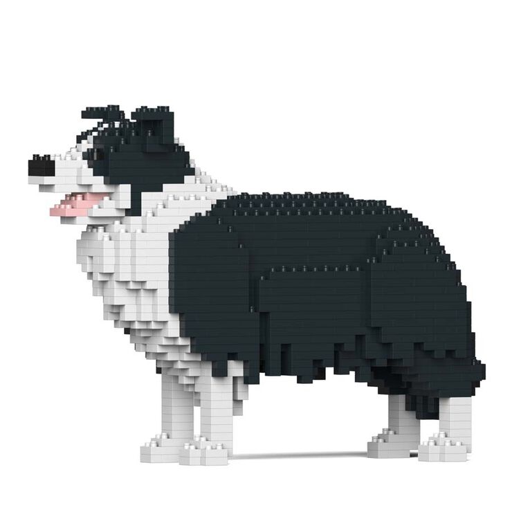 Jekca Border Collie