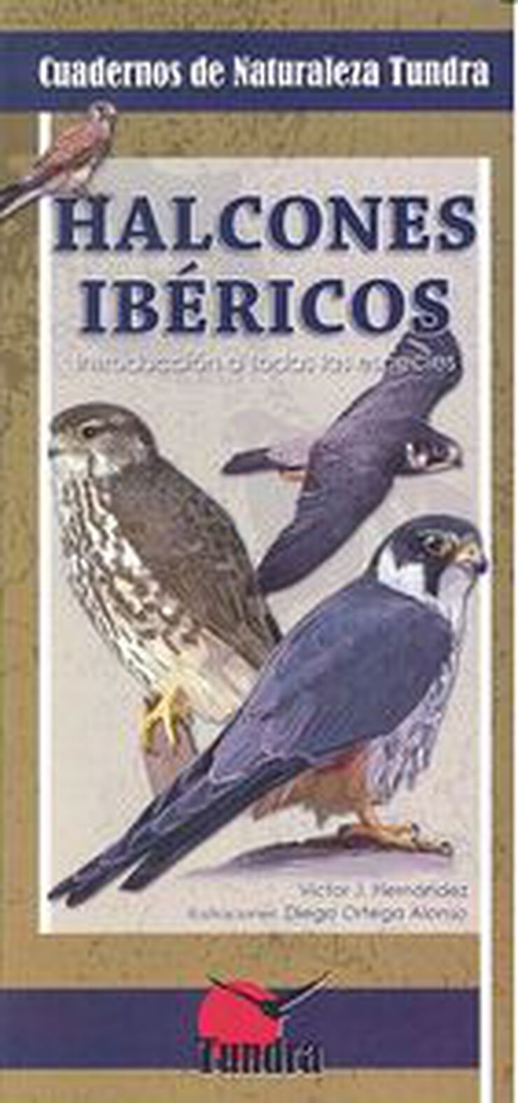 Halcones ibéricos