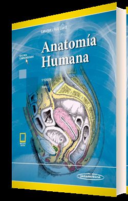 Anatom&iacute;a Humana 5Ed. T2 (ebook)