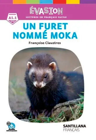 Un Furet Nomme Moka