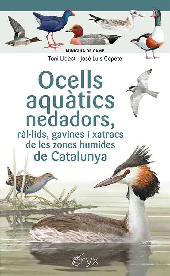 Ocells aqu&agrave;tics nedadors, r&agrave;l&middot;lids, gavines i xatracs de les zones humides de Catalunya