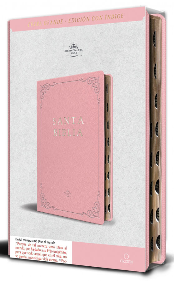 Biblia RVR 1960 Simil Piel Rosada tama&ntilde;o manual Nombres de Dios
