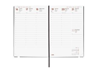 Agenda Finocam Mara Y10 sem/vista vertical cas 2026 azul