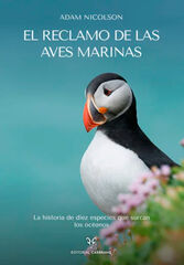 El reclamo de las aves marinas El reclamo de las aves marinas