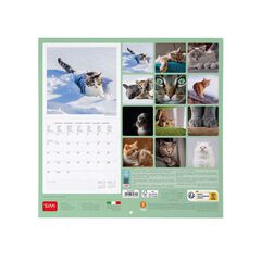 Calendario pared Legami 30X29 2024 Cats