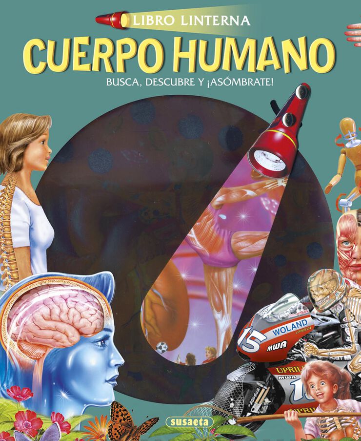 Cuerpo humano