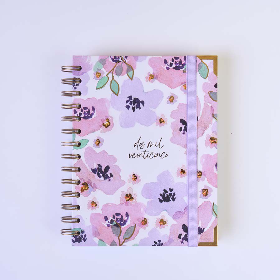 Agenda Takenote 13x18 sem/vista mult 2025 Clara