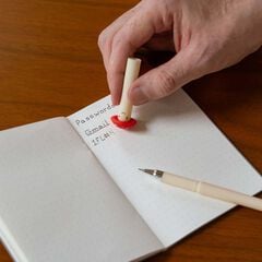 Bolígraf esborrable Bolet Kikkerland