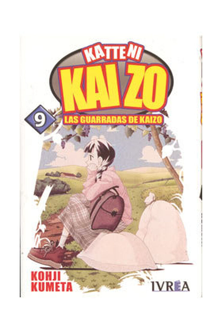 Katteni Kaizo. Las guarradas de Kaizo 9