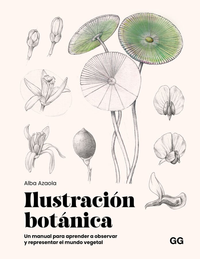 Ilustraci&oacute;n bot&aacute;nica