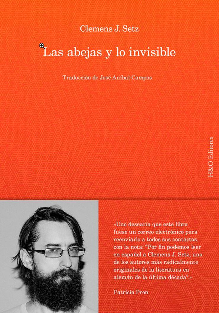 Las abejas y lo invisible