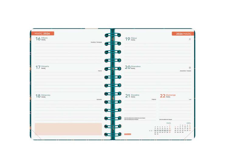 Agenda Finocam escolar Cosmo 1/8  sem/vista cat 2025-26 stars