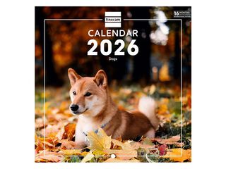 Calendario pared Finocam 18x18 2026 Dogs multilingüe