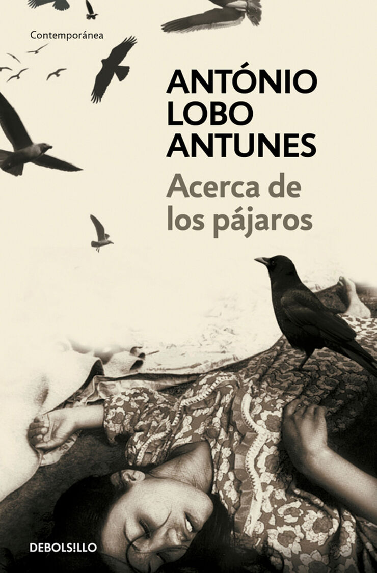 Acerca de los p&aacute;jaros