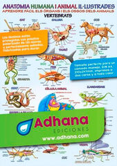 ADHAC Anatomia humana/animal IL·LU