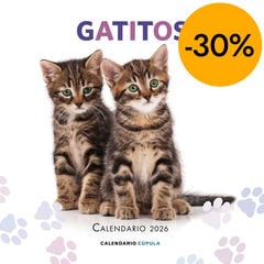 Calendario pared Gatitos 2026 castellano