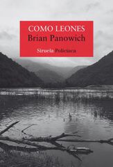 Como leones Como leones