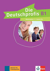 Die Deutschprofis B1 Medienpaket 2Cd