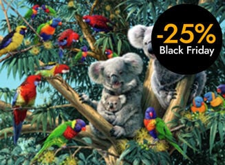 Puzle 500 peces Koalas