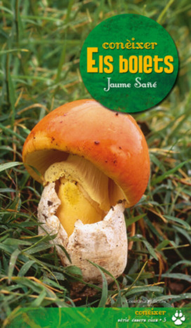 Conèixer els bolets
