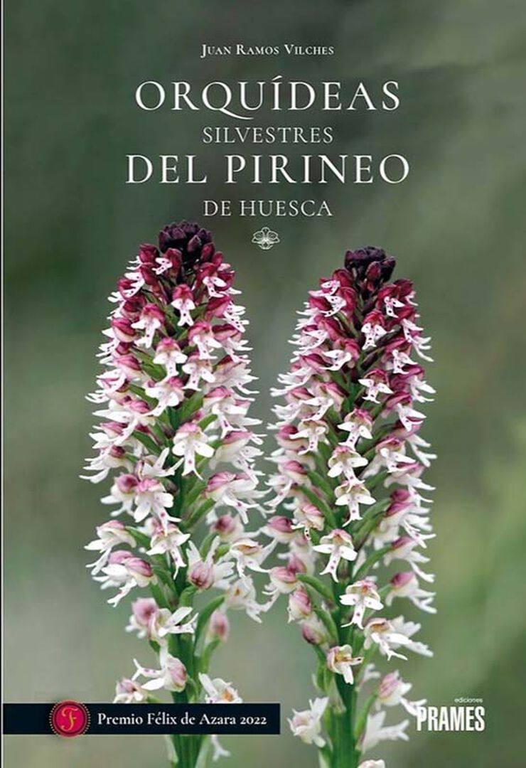 Orquídeas silvestres del Pirineo de Huesca