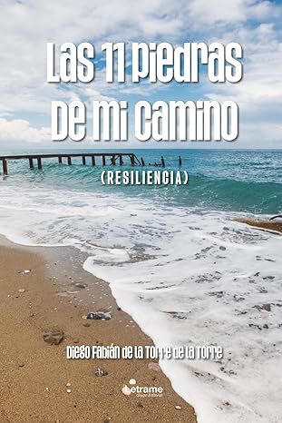 Las 11 piedras de mi camino