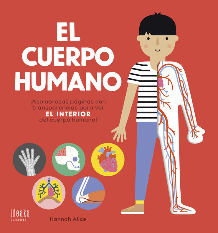 El cuerpo humano El cuerpo humano