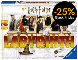 Labyrinth Harry Potter