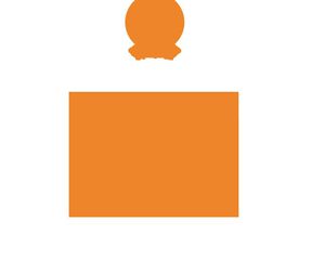 V - 3 a&ntilde;os Castoria 2T