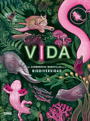Vida Vida