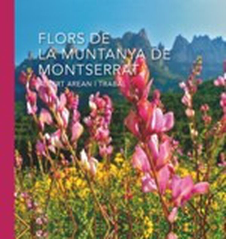 Flors de la muntanya de Montserrat
