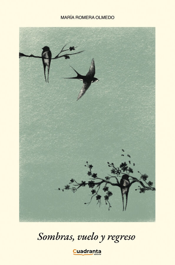 Sombras, vuelo y regreso