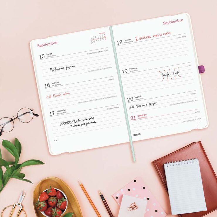 Agenda Finocam 16 meses Capri F4 sem/vista cas 2025-26 happy
