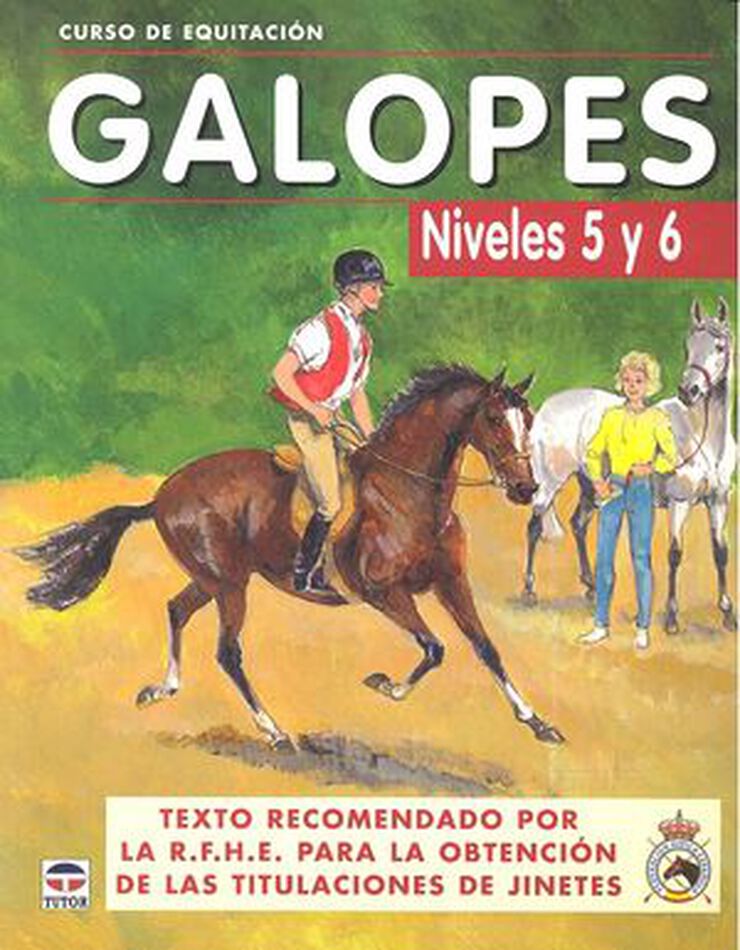 Galopes niveles 5-6