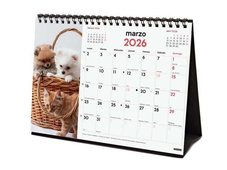 Calendario sobremesa Finocam 2026 Gosso y Gatos castellano