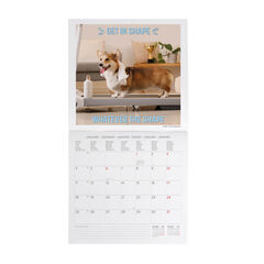 Calendario Legami 30x29 Pared Supawstar Multiling&uuml;e 2027