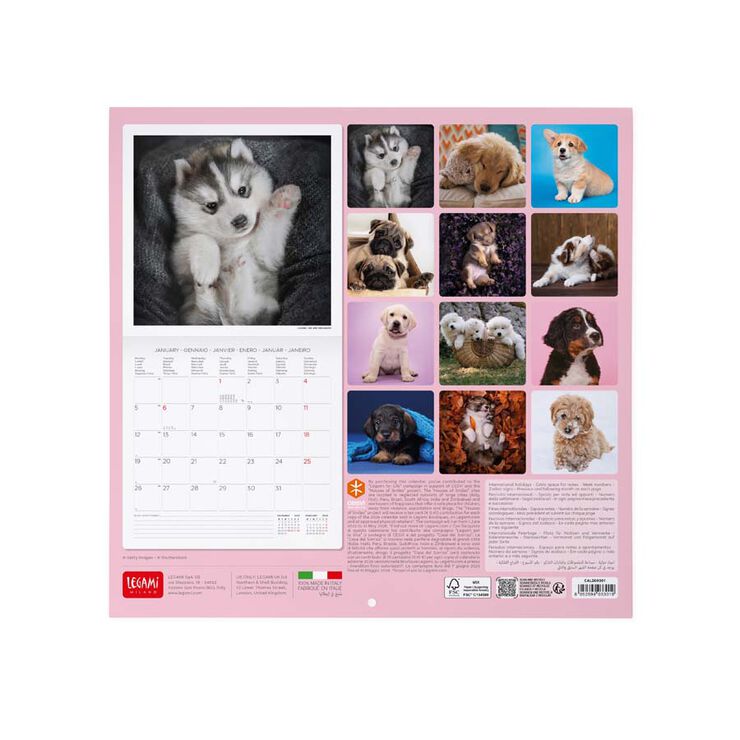 Calendario pared Legami 30x29cm 2026 Puppies