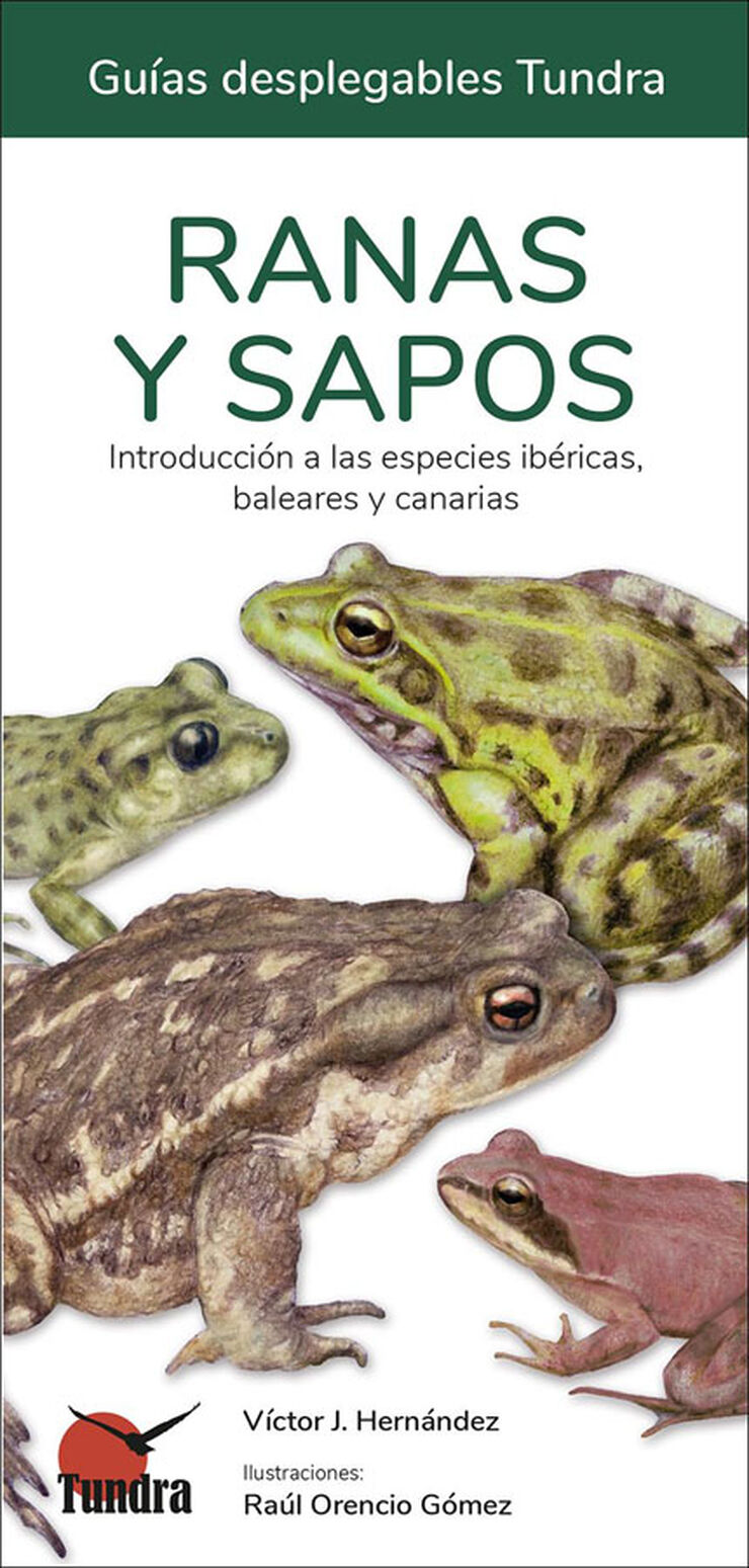 Ranas y sapos