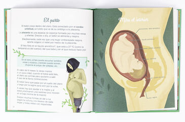 El pequeño atlas de la intimidad: la vulva, la vagina, la regla y más