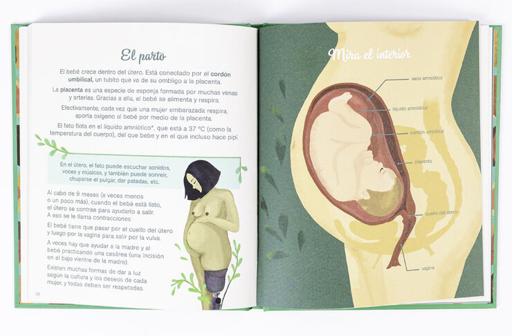 El pequeño atlas de la intimidad: la vulva, la vagina, la regla y más