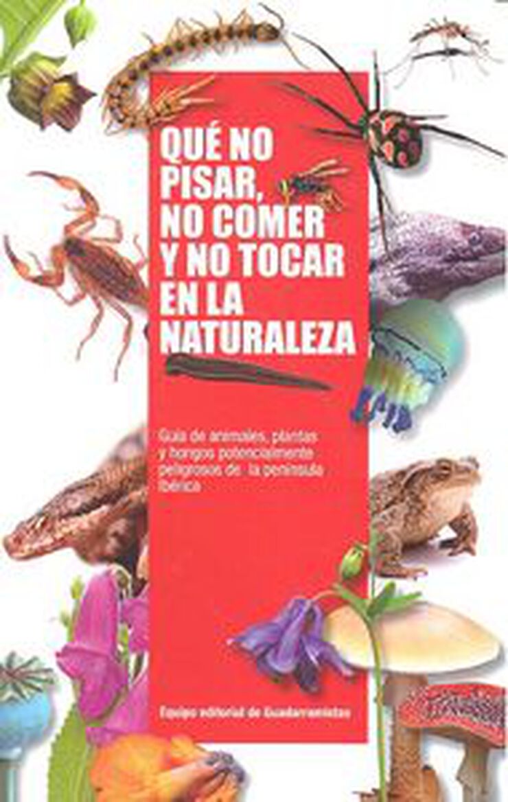 Qué no pisar, no comer y no tocar en la naturaleza