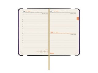 Agenda Finocam Joy Dia P&agrave;gina 2027 Catal&agrave; Fiona